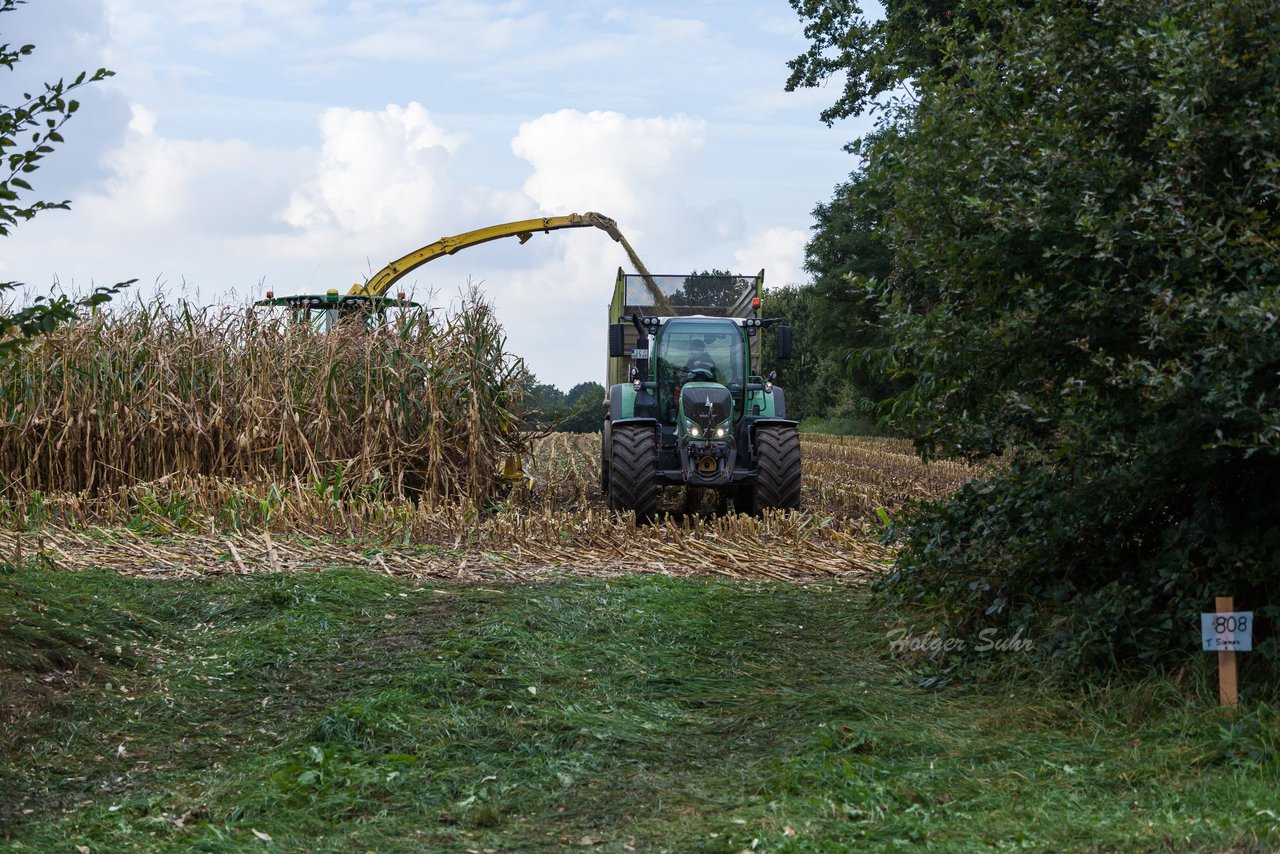 Bild 218 - Maisernte